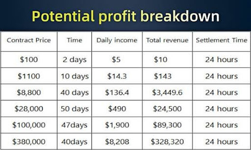 Profit Breakdown