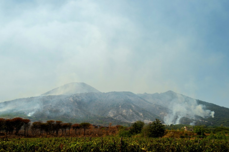 Around 190 firefighters and the army tackled a wildfire on Mount Vesuvius that forced the closure of the national park to tourists