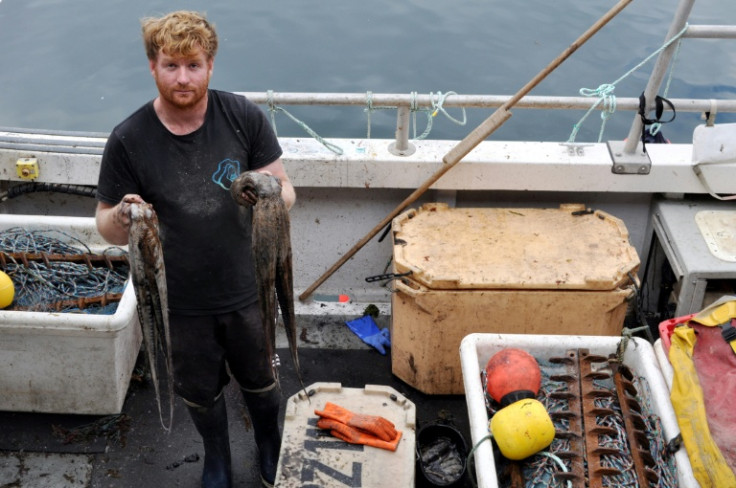 Fisherman Chris Kelly, 32, shows octopus caught aboard his vessel in Plymouth Harbour, southwest England