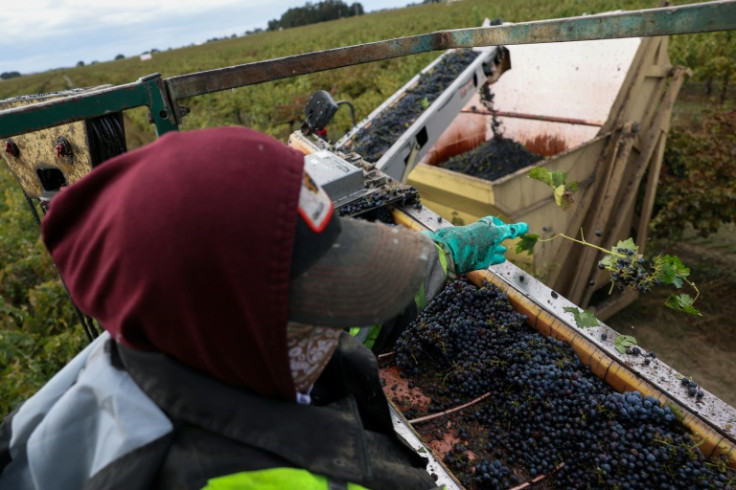 The shift to alternate crops has put workers' jobs at risk, with almonds, for example, requiring far less labor to farm