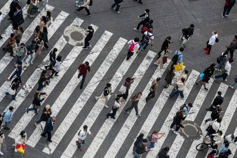 Japanese Stocks Surge as Nikkei 225 Hits Record High Amid Trade Optimism