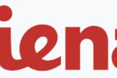 Ciena Corporation Stock Plunges 13% Despite Record Q1 Revenue and