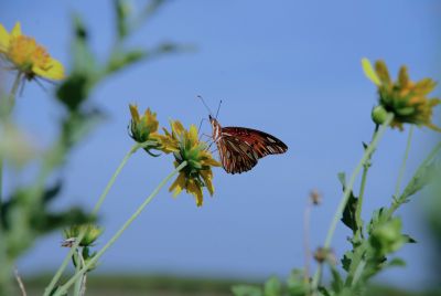 Is Today the First Day of Spring? Yes — Vernal