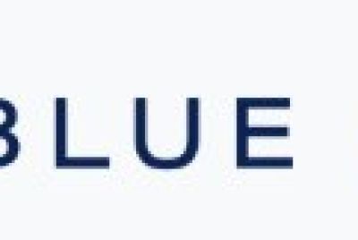Blue Owl Capital Inc