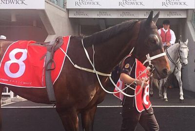 Winx Foal Quinceanera Retired 2026: $10M Filly Never Raced, Now