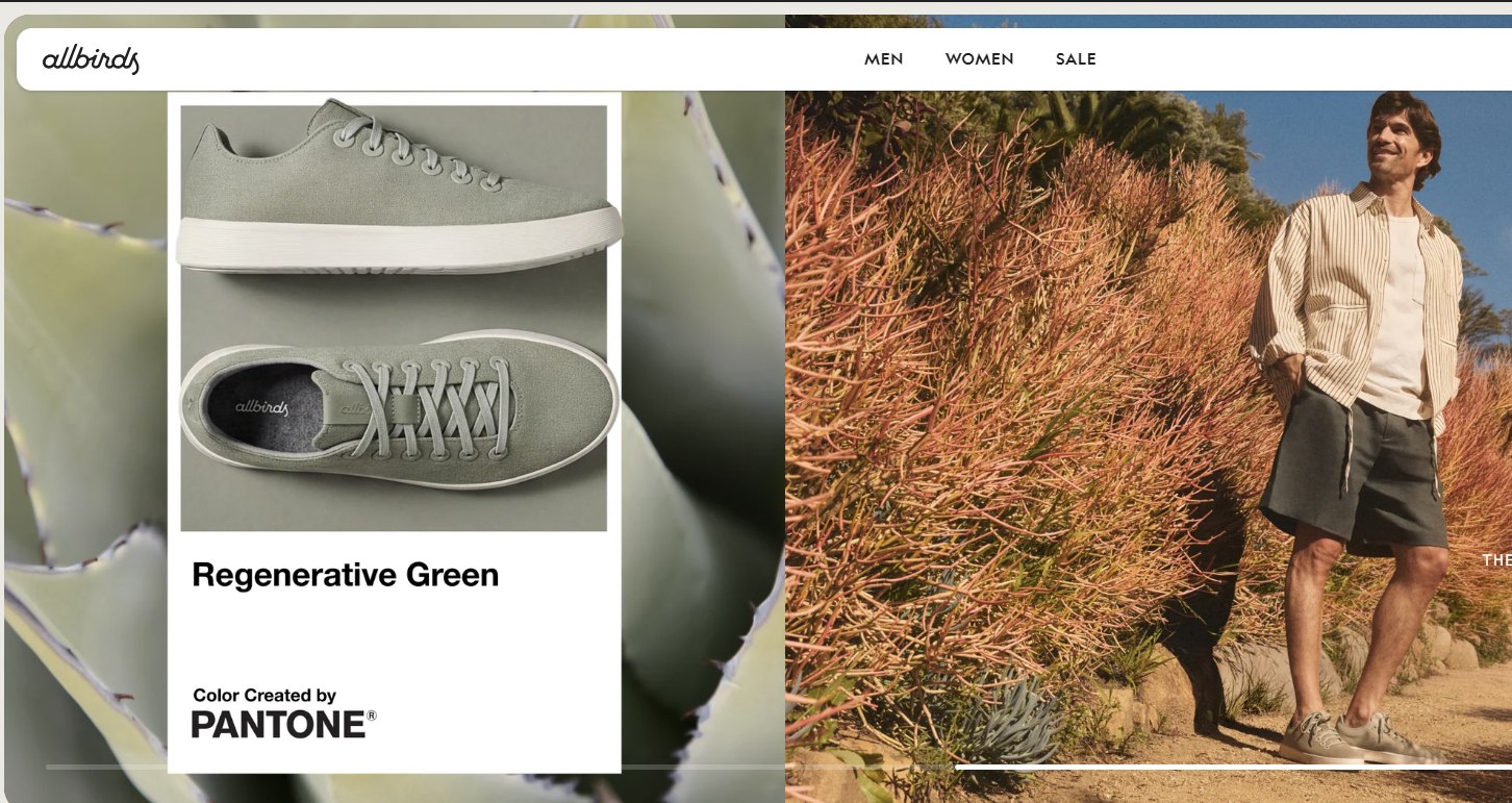 Allbirds Stock Explodes 400% on Wild Pivot From Wool Sneakers 