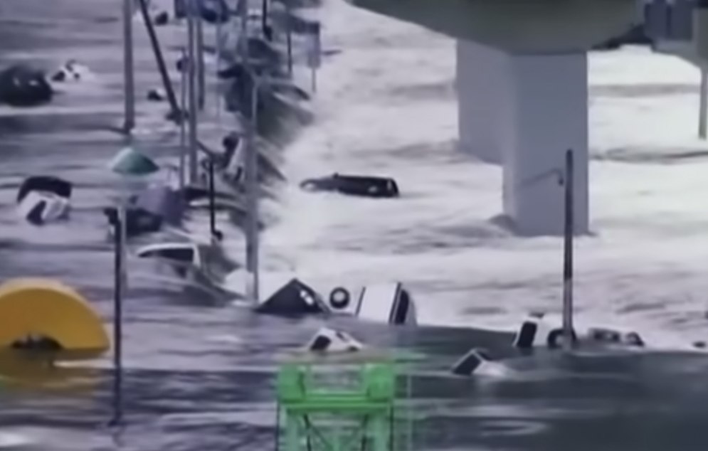 2011 Great East Japan Earthquake