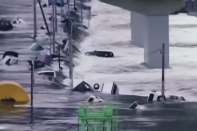 2011 Great East Japan Earthquake