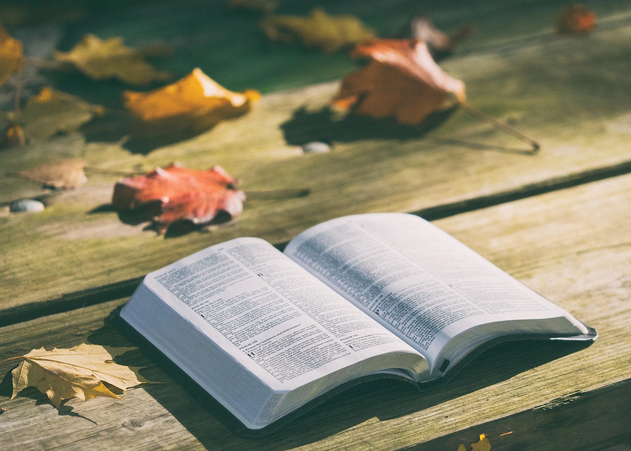 Bible Verse of the Day May 16, 2026: Isaiah 40:31 