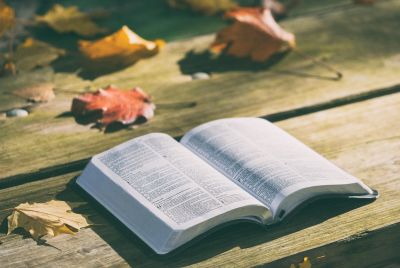 Bible Verse of the Day May 16, 2026: Isaiah 40:31