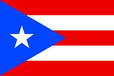NYC Puerto Rican Day Parade 2026 Draws Millions with Star