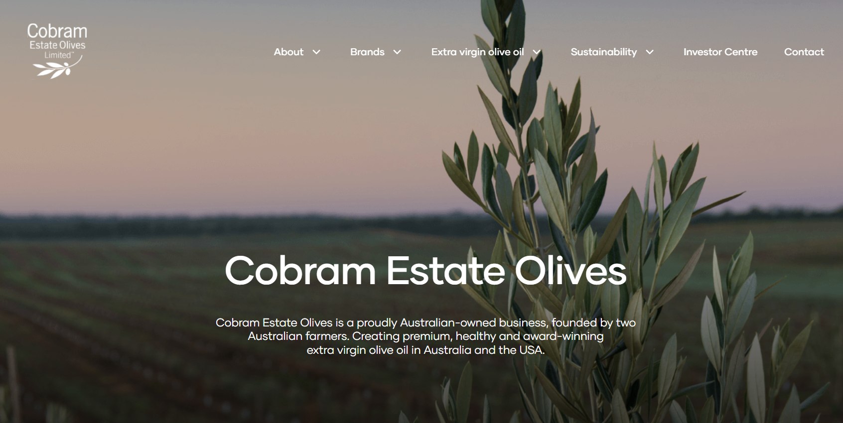 Cobram Estate Olives Shares Surge 8% Today as Australia's Top 