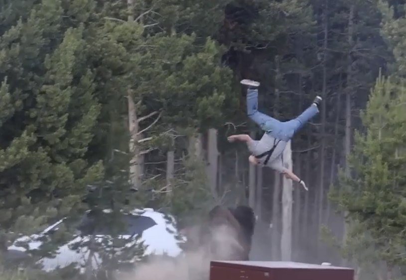 Yellowstone Bull Bison Tosses Tourist 8 Feet Into Air in 