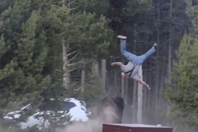 Yellowstone Bull Bison Tosses Tourist 8 Feet Into Air in