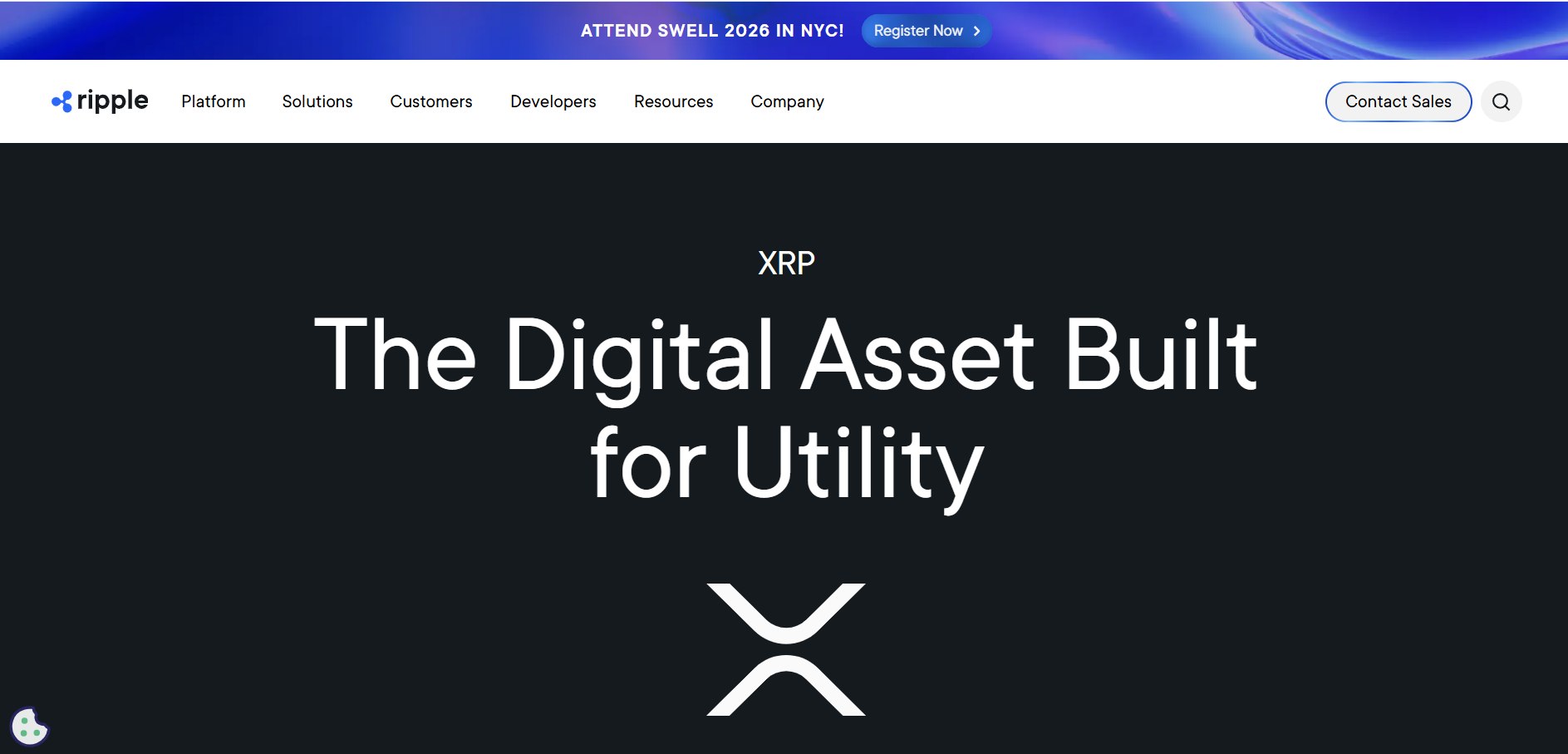 How Much Will $1,000 Invested in XRP Be Worth in 