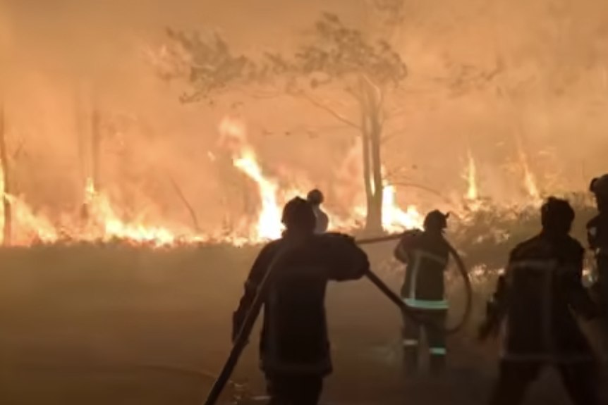 Wildfires Force 250,000 to Flee Homes in France and Spain 