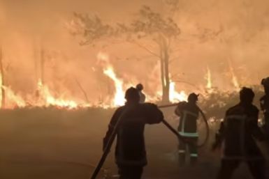 Wildfires Force 250,000 to Flee Homes in France and Spain
