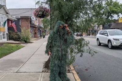 Jersey Police Officer Disguised as a Shrub Nabs 74 Distracted