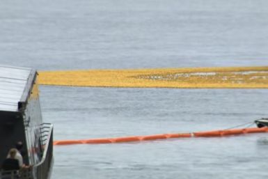More Than 90,000 Rubber Ducks Flood Chicago River In Record-Setting