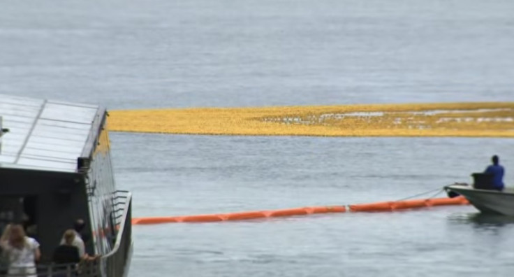 More Than 90,000 Rubber Ducks Flood Chicago River In Record-Setting