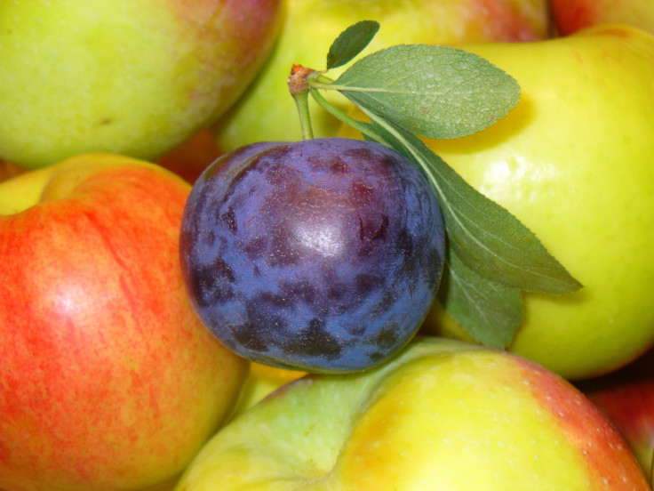 Prunes