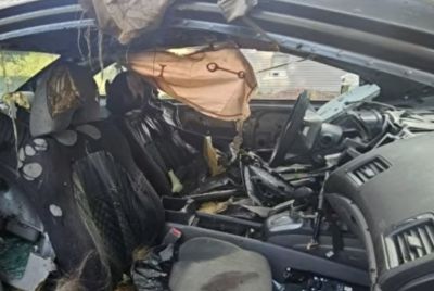 300-Pound Bear Dies Trapped Inside Car in Colorado Amid Record-Breaking