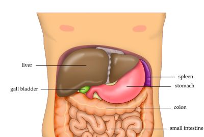 Ketogenic Diet Outperforms Other Plans for Reversing Prediabetes and Fatty