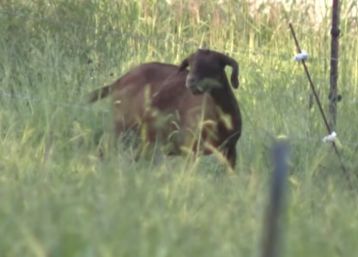 North Carolina Health Officials Urge Farm Adventures Visitors to Call