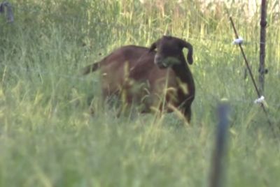 North Carolina Health Officials Urge Farm Adventures Visitors to Call