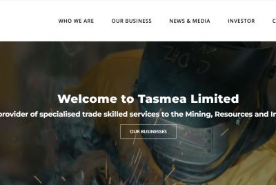 Tasmea Shares Jump 7.4% As Data Center Electrification Bet Powers