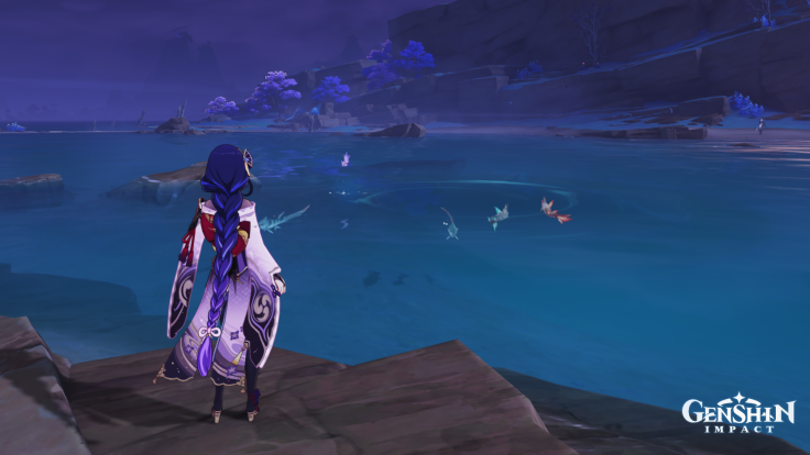 A fishing spot for koi and angelfish in Genshin Impact