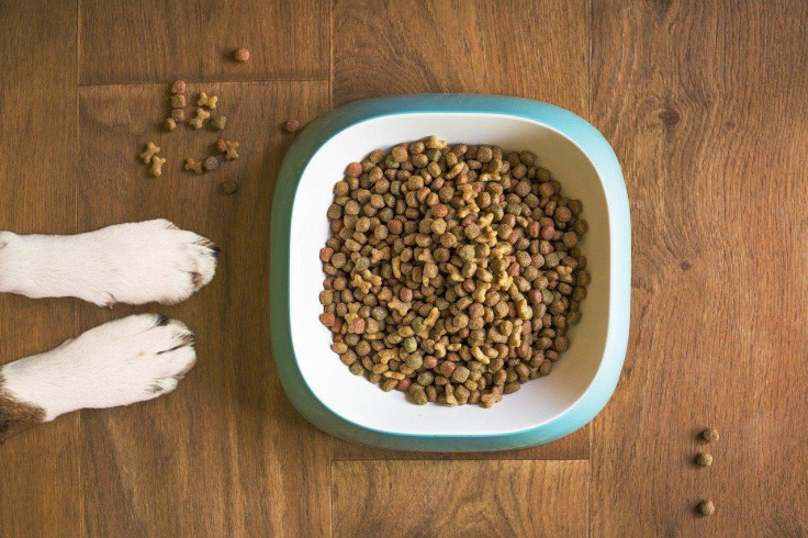 Dog Food Bowl