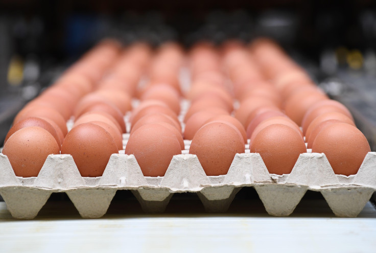 eggs
