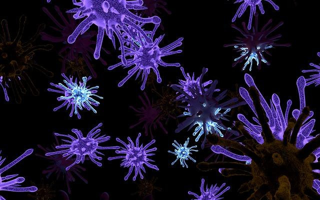virus-174051_640